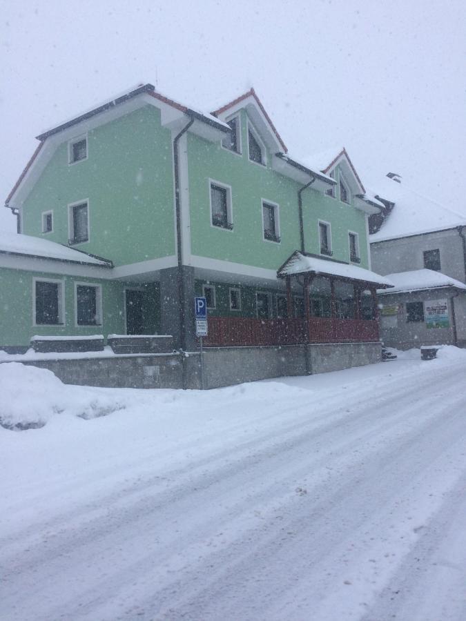 Penzion U Pesku Horní Planá Екстериор снимка