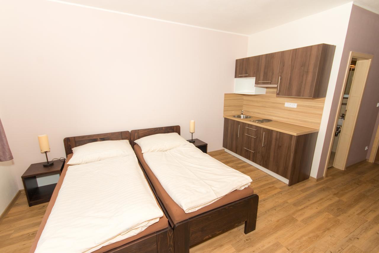 Penzion U Pesku Horní Planá Екстериор снимка